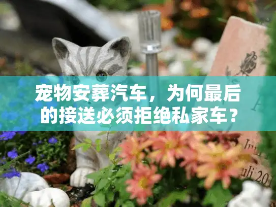 宠物安葬汽车，为何最后的接送必须拒绝私家车？