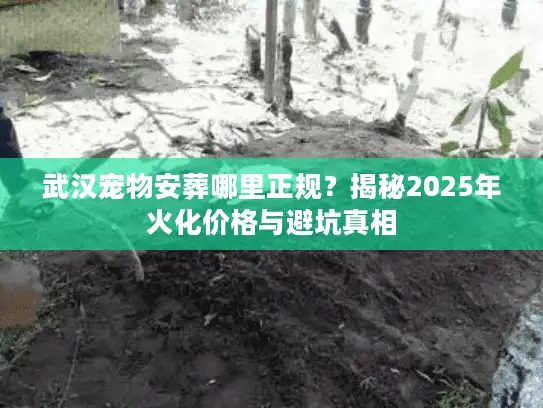 武汉宠物安葬哪里正规？揭秘2025年火化价格与避坑真相