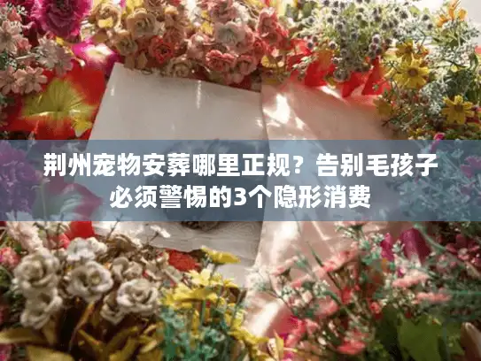荆州宠物安葬哪里正规？告别毛孩子必须警惕的3个隐形消费