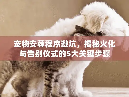 宠物安葬程序避坑，揭秘火化与告别仪式的5大关键步骤