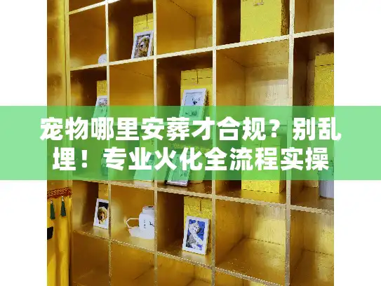 宠物哪里安葬才合规？别乱埋！专业火化全流程实操