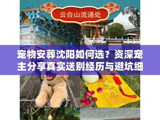 宠物安葬沈阳如何选？资深宠主分享真实送别经历与避坑细节