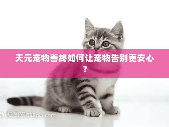 天元宠物善终如何让宠物告别更安心？