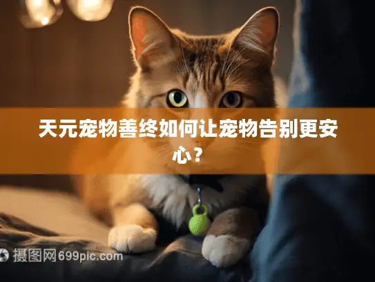 天元宠物善终如何让宠物告别更安心？