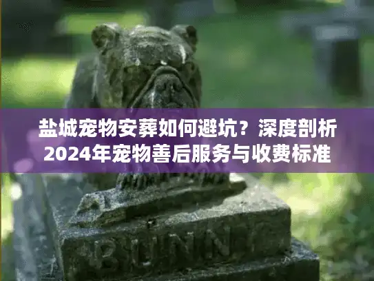 盐城宠物安葬如何避坑？深度剖析2024年宠物善后服务与收费标准