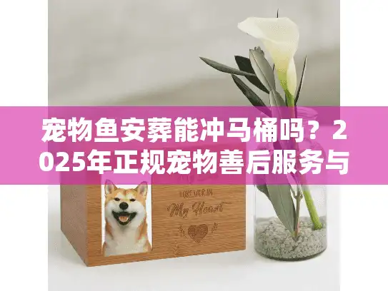 宠物鱼安葬能冲马桶吗？2025年正规宠物善后服务与无害化处理