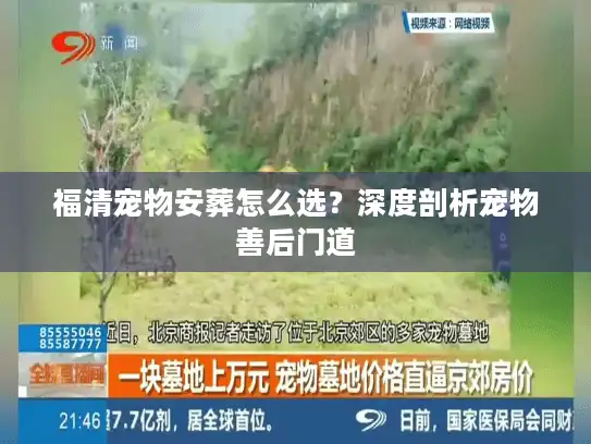 福清宠物安葬怎么选？深度剖析宠物善后门道