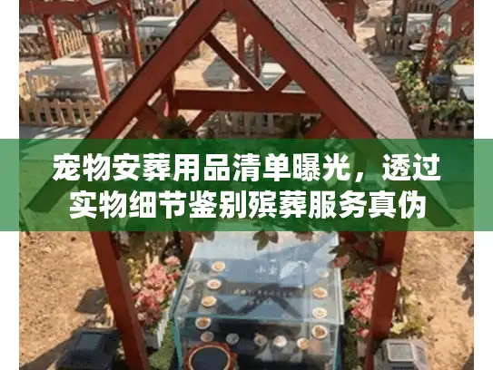 宠物安葬用品清单曝光，透过实物细节鉴别殡葬服务真伪