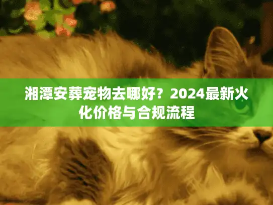 湘潭安葬宠物去哪好？2024最新火化价格与合规流程