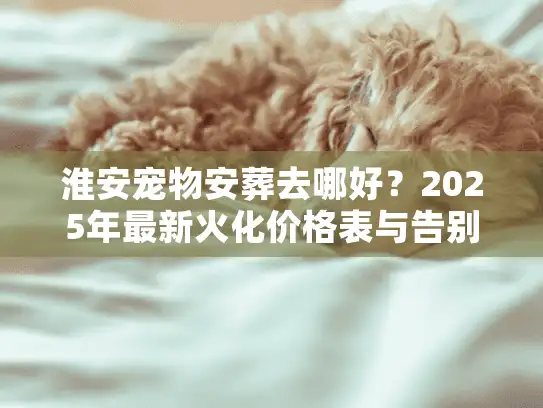 淮安宠物安葬去哪好？2025年最新火化价格表与告别仪式避坑