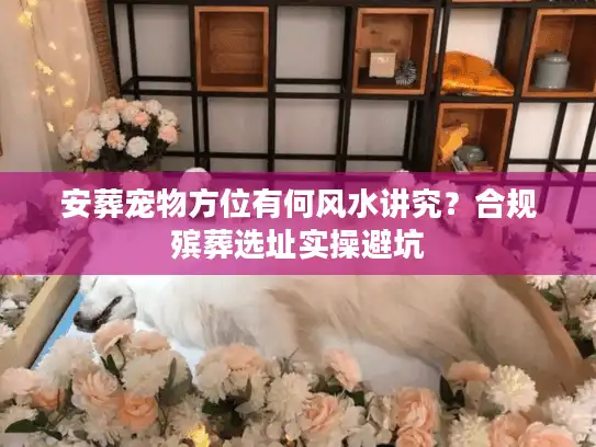 安葬宠物方位有何风水讲究？合规殡葬选址实操避坑
