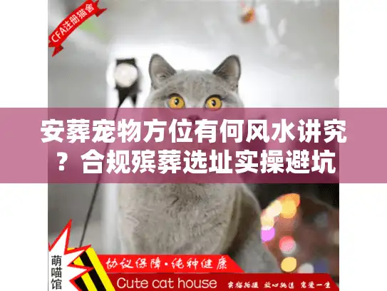 安葬宠物方位有何风水讲究？合规殡葬选址实操避坑