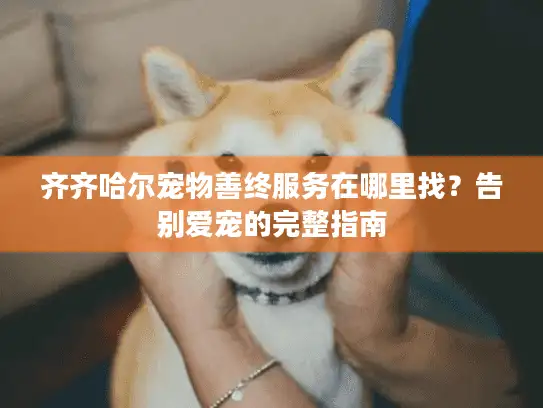 齐齐哈尔宠物善终服务在哪里找？告别爱宠的完整指南