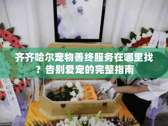 齐齐哈尔宠物善终服务在哪里找？告别爱宠的完整指南