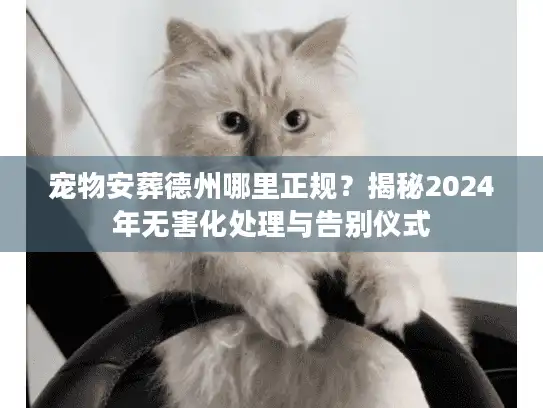 宠物安葬德州哪里正规？揭秘2024年无害化处理与告别仪式