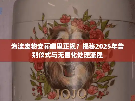 海淀宠物安葬哪里正规？揭秘2025年告别仪式与无害化处理流程