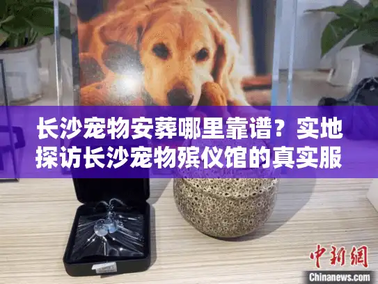 长沙宠物安葬哪里靠谱？实地探访长沙宠物殡仪馆的真实服务