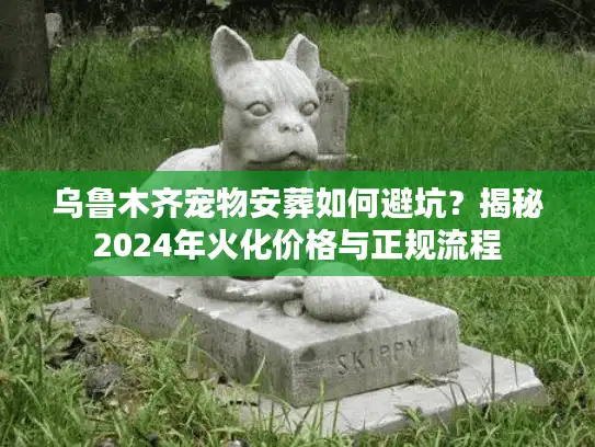 乌鲁木齐宠物安葬如何避坑？揭秘2024年火化价格与正规流程