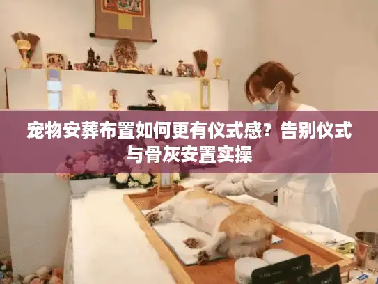 宠物安葬布置如何更有仪式感？告别仪式与骨灰安置实操