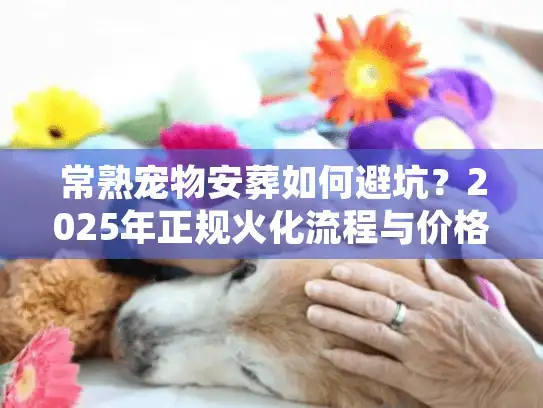 常熟宠物安葬如何避坑？2025年正规火化流程与价格内幕