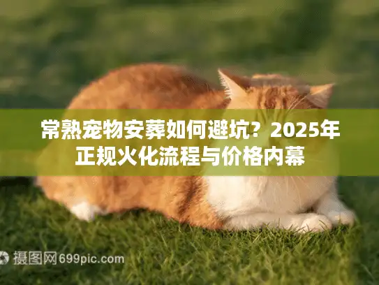 常熟宠物安葬如何避坑？2025年正规火化流程与价格内幕