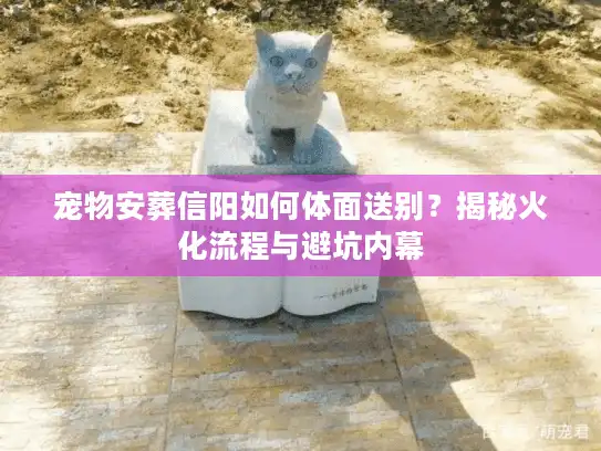 宠物安葬信阳如何体面送别？揭秘火化流程与避坑内幕
