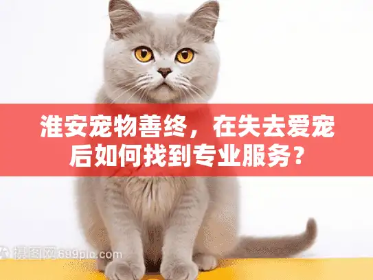 淮安宠物善终，在失去爱宠后如何找到专业服务？