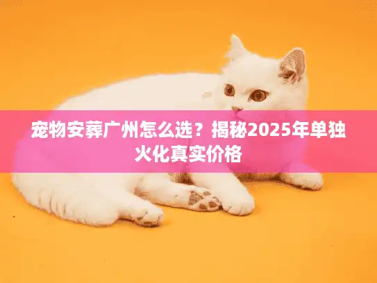 宠物安葬广州怎么选？揭秘2025年单独火化真实价格