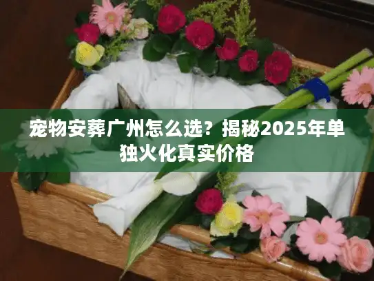 宠物安葬广州怎么选？揭秘2025年单独火化真实价格