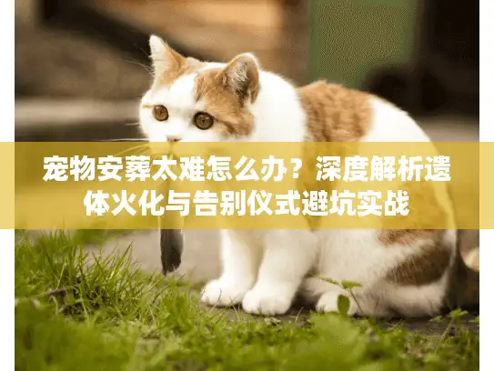 宠物安葬太难怎么办？深度解析遗体火化与告别仪式避坑实战