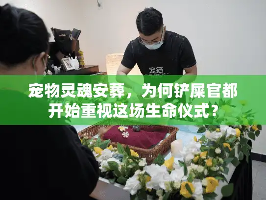 宠物灵魂安葬，为何铲屎官都开始重视这场生命仪式？