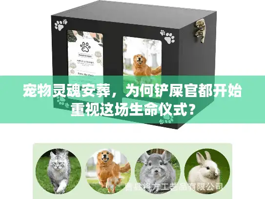 宠物灵魂安葬，为何铲屎官都开始重视这场生命仪式？