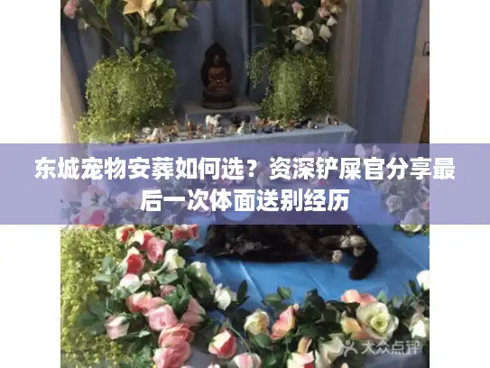 东城宠物安葬如何选？资深铲屎官分享最后一次体面送别经历