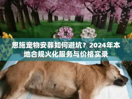 恩施宠物安葬如何避坑？2024年本地合规火化服务与价格实录
