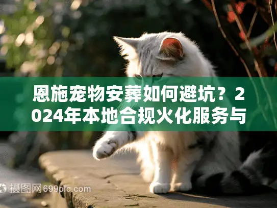 恩施宠物安葬如何避坑？2024年本地合规火化服务与价格实录