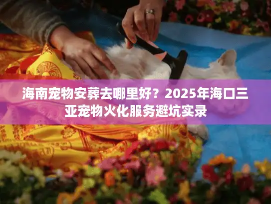 海南宠物安葬去哪里好？2025年海口三亚宠物火化服务避坑实录