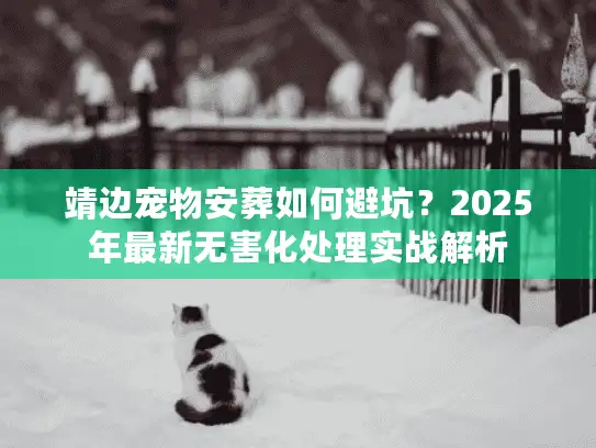 靖边宠物安葬如何避坑？2025年最新无害化处理实战解析
