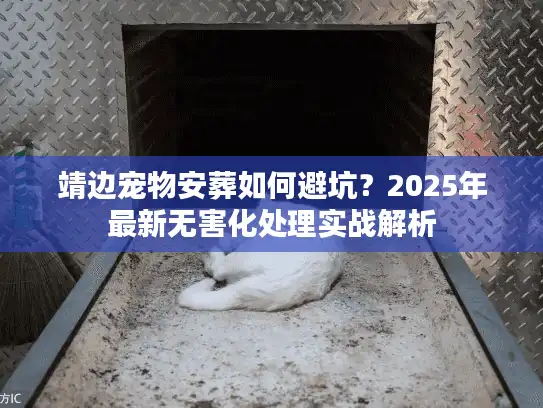 靖边宠物安葬如何避坑？2025年最新无害化处理实战解析