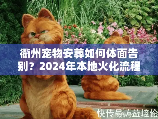 衢州宠物安葬如何体面告别？2024年本地火化流程与避坑实况