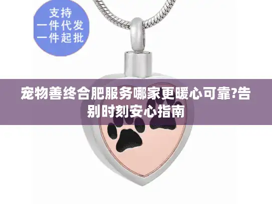 宠物善终合肥服务哪家更暖心可靠?告别时刻安心指南