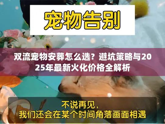 双流宠物安葬怎么选？避坑策略与2025年最新火化价格全解析