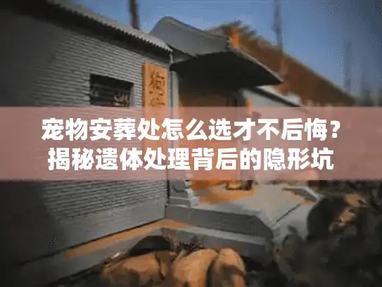 宠物安葬处怎么选才不后悔？揭秘遗体处理背后的隐形坑