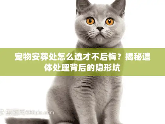 宠物安葬处怎么选才不后悔？揭秘遗体处理背后的隐形坑