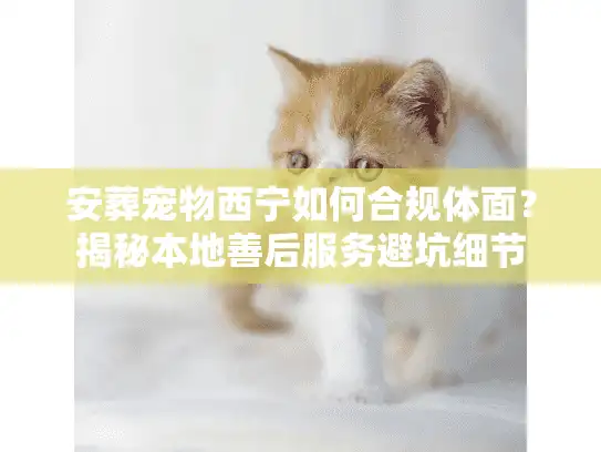 安葬宠物西宁如何合规体面？揭秘本地善后服务避坑细节