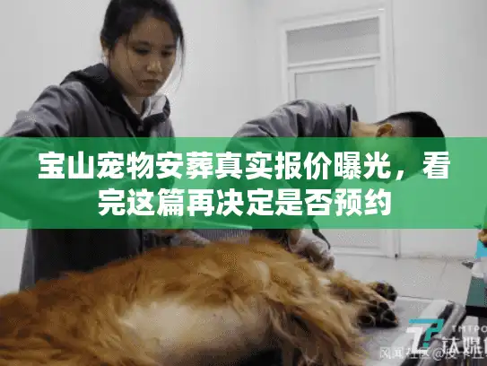 宝山宠物安葬真实报价曝光，看完这篇再决定是否预约