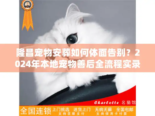 隆昌宠物安葬如何体面告别？2024年本地宠物善后全流程实录