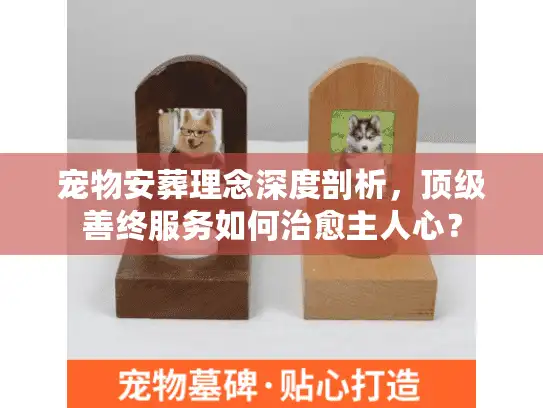 宠物安葬理念深度剖析，顶级善终服务如何治愈主人心？