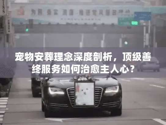 宠物安葬理念深度剖析，顶级善终服务如何治愈主人心？