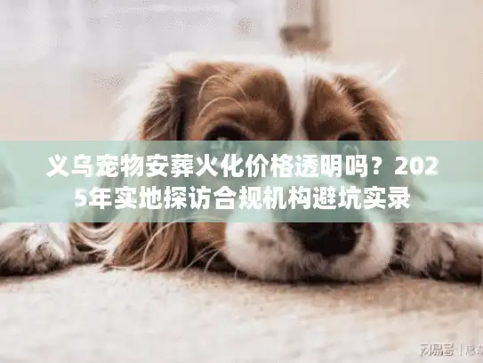 义乌宠物安葬火化价格透明吗？2025年实地探访合规机构避坑实录