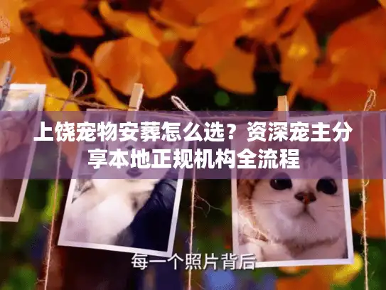 上饶宠物安葬怎么选？资深宠主分享本地正规机构全流程